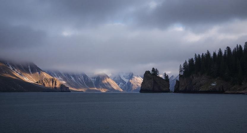 الأمان في المنام