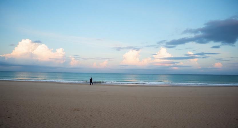 التجارة في المنام