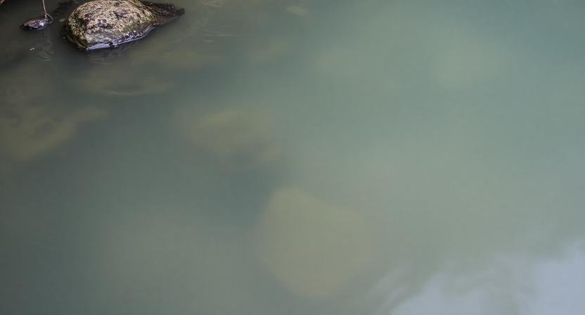 الماء العكر في المنام