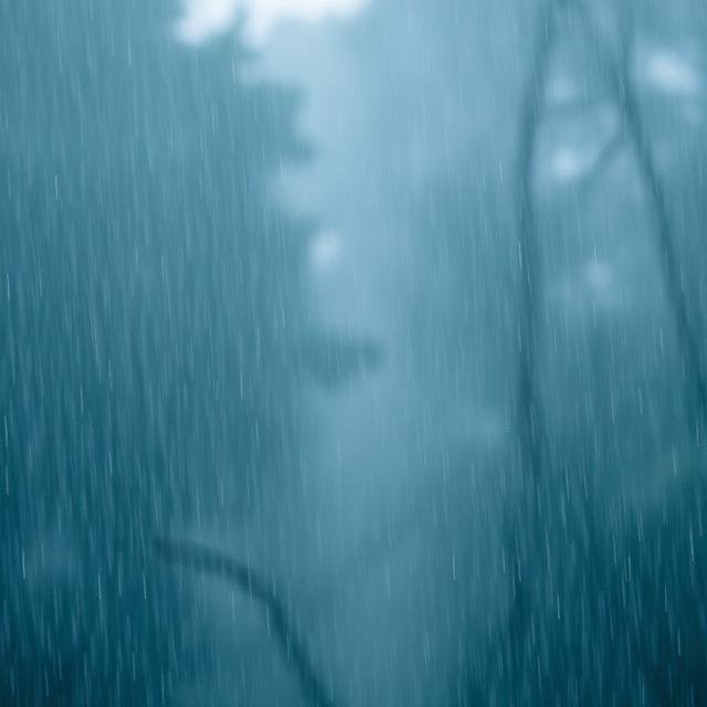 المطر الخفيف في المنام